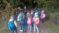 Naturnaher Lernraum – Unterricht im Wald für die 3. Klasse