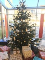 Weihnachtsbaum 2019 Weihnachtsbaum 2019