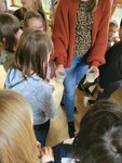 Projekt Milch Projekt Milch