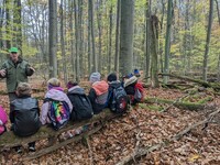 Unterricht im Wald für die dritten Klassen