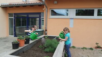 Projekt Hochbeete Projekt Hochbeete