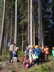 Besuch im Wald Besuch im Wald